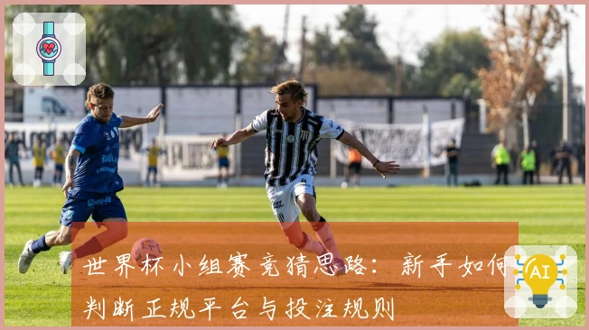 世界杯小组赛竞猜思路：新手如何判断正规平台与投注规则