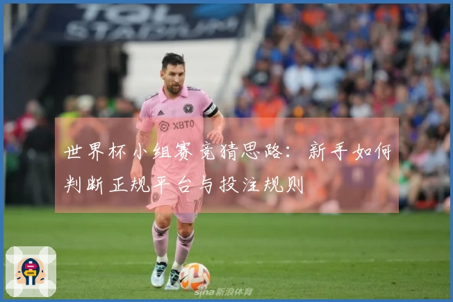 世界杯小组赛竞猜思路：新手如何判断正规平台与投注规则